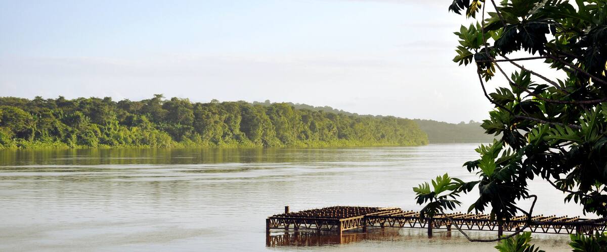 A calm river with a wooden bridge and dense green forest in the background.