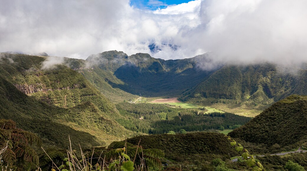 La Plaine-des-Palmistes, Reunion Island - The small plain on the way to Bebour pass