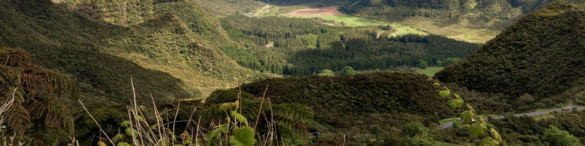 La Plaine-des-Palmistes, Reunion Island - The small plain on the way to Bebour pass