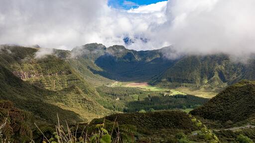 La Plaine-des-Palmistes