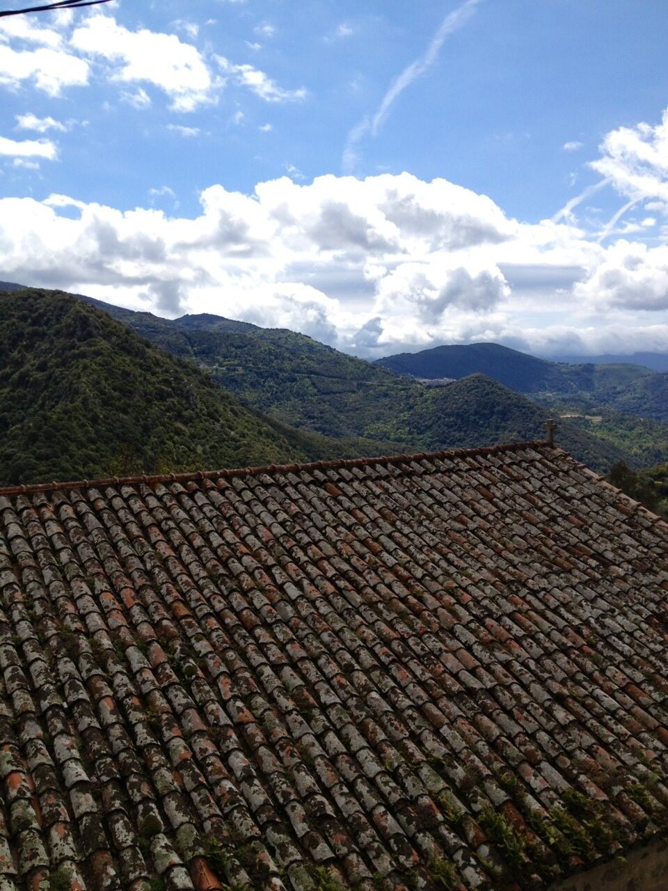 A tiled roof with a mountainous landscape in the background.