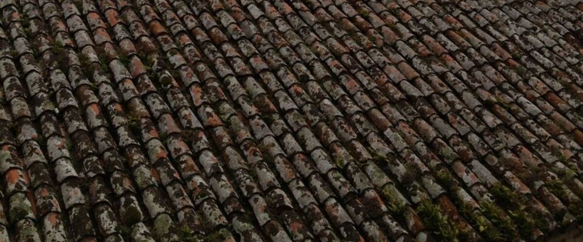 A tiled roof with a mountainous landscape in the background.