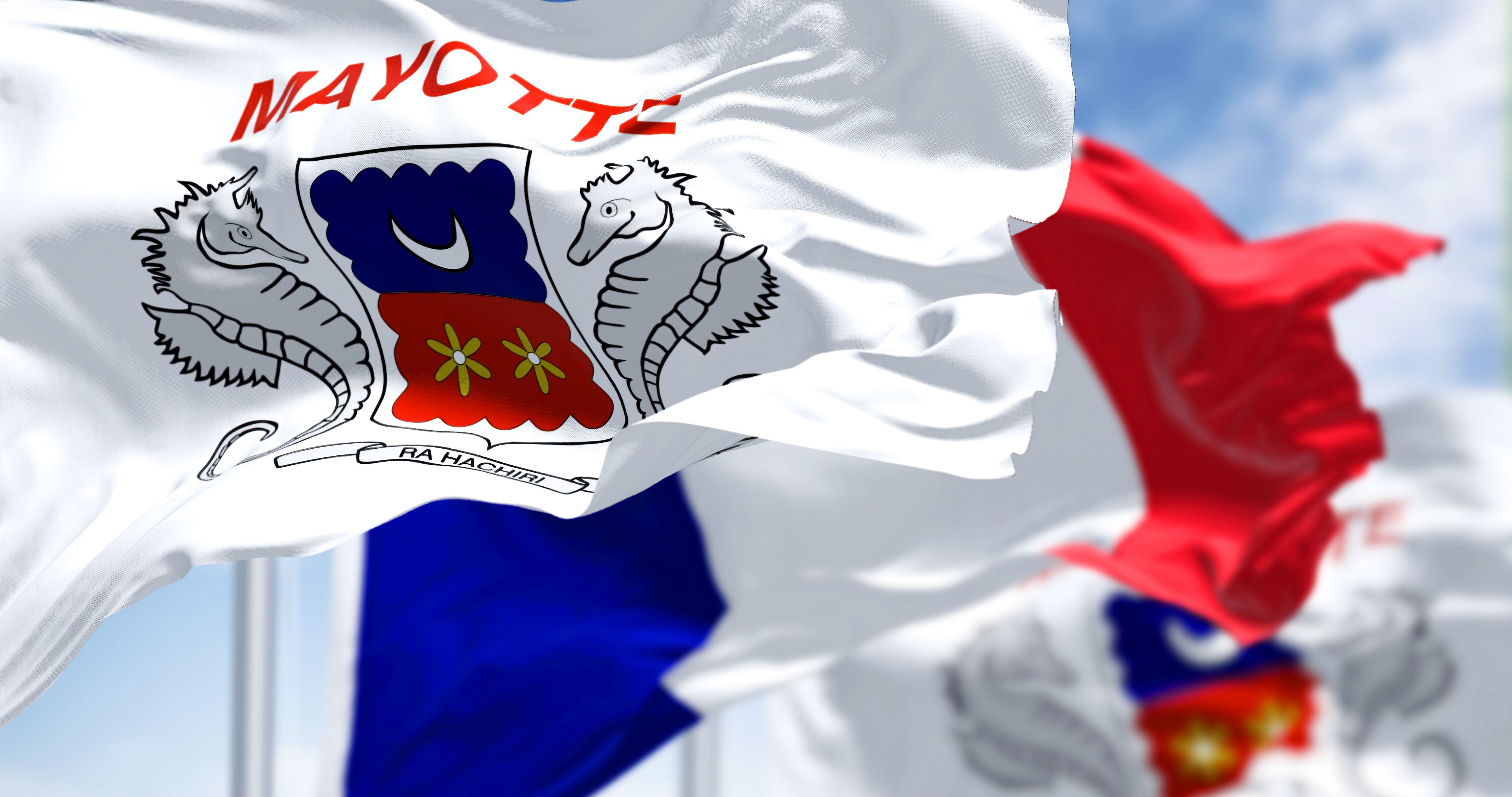 A flag with a coat of arms, the text 'MAYO,' and a red and blue field.