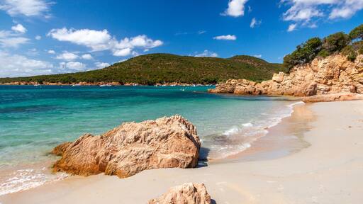 Monacia-d'AullĂšne