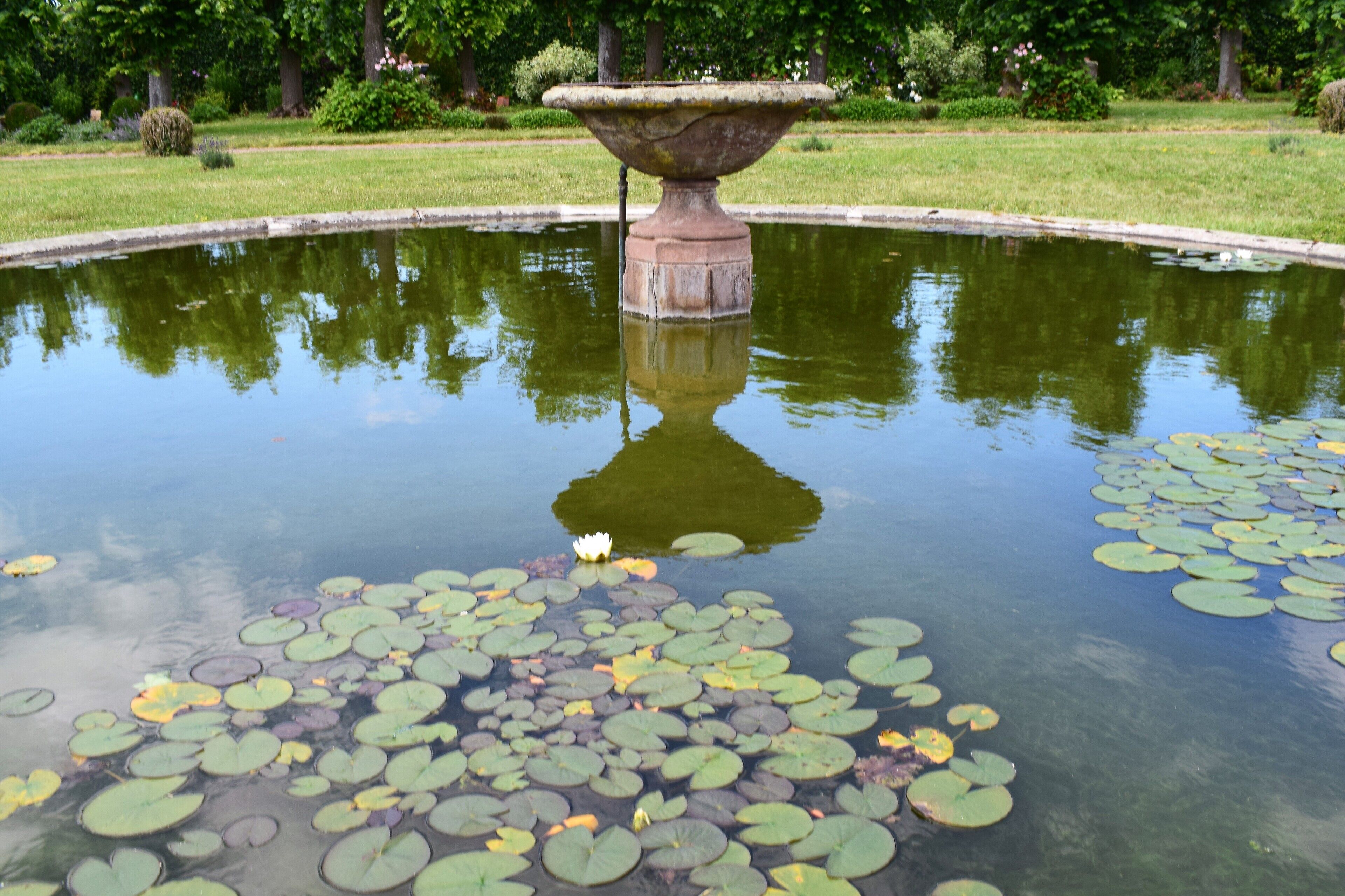 Le chateau et le parc de Kolbsheim
