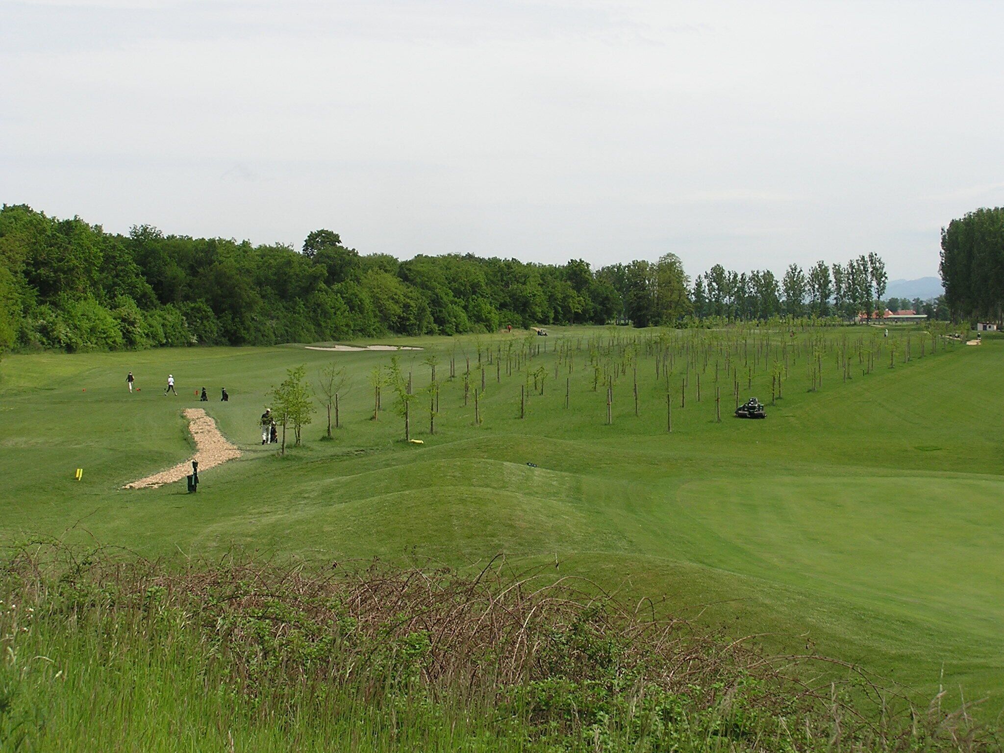 A golf course with a sand bunker, young trees, and a distant building.
