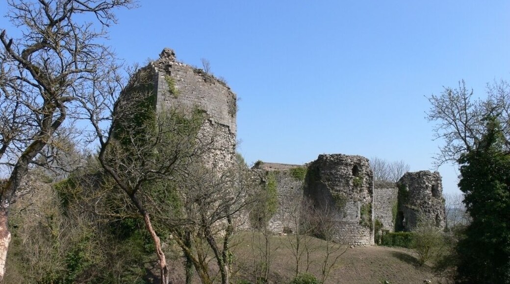 Chùteau de Prény, premier chùteau des Ducs de Lorraine