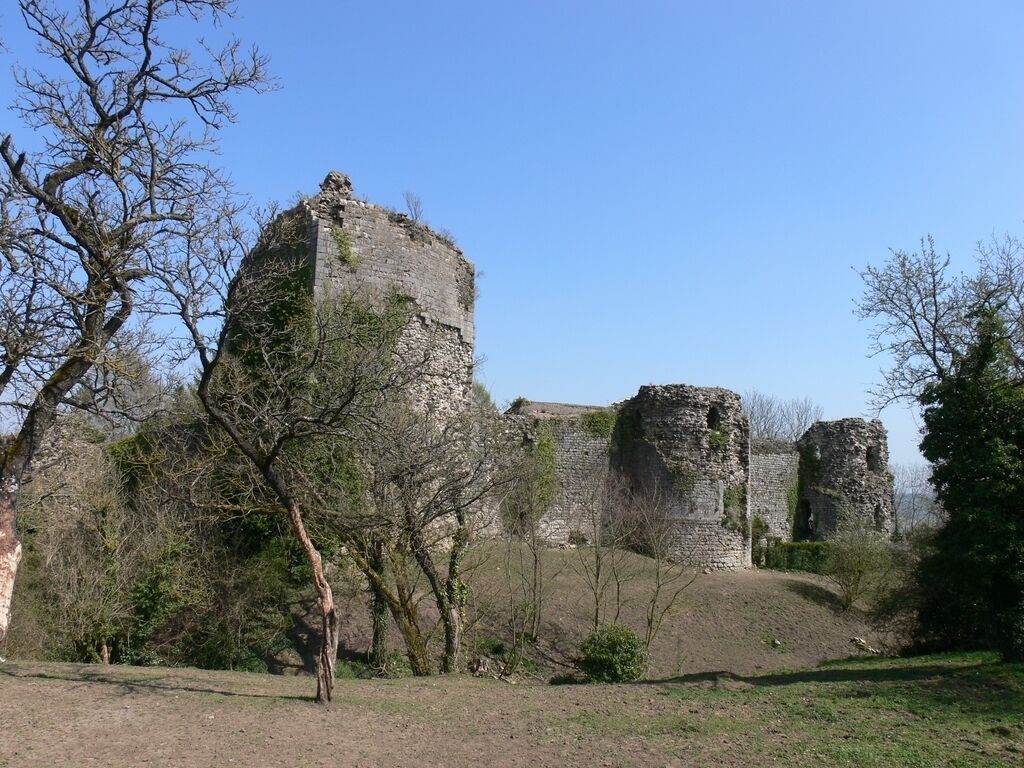 A historical stone castle with ruins and overgrown vegetation.