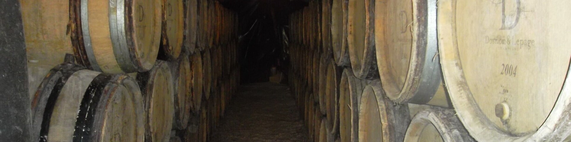 The Sarce valley has the nearest vineyards to Troyes after Montgueux. There are several grower champagne houses in the small villages. Champagne is often aged in new or secondhand barrels from Burgundy.The valley would be a great place to cycle. There are several places that sell delicious local produce.