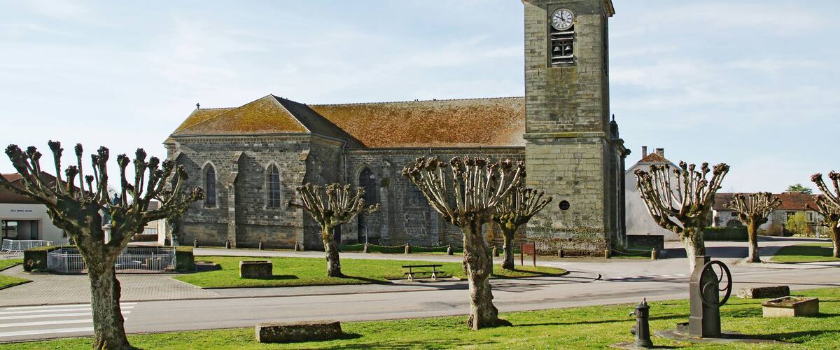A historic church with a tall clock tower, surrounded by well-maintained trees and a paved walkway.