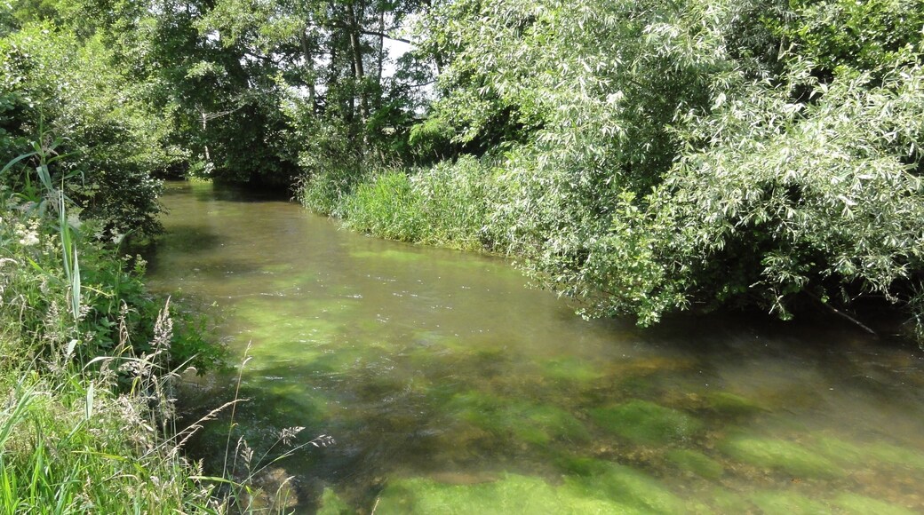 Frémonville (M-et-M) la Vezouze