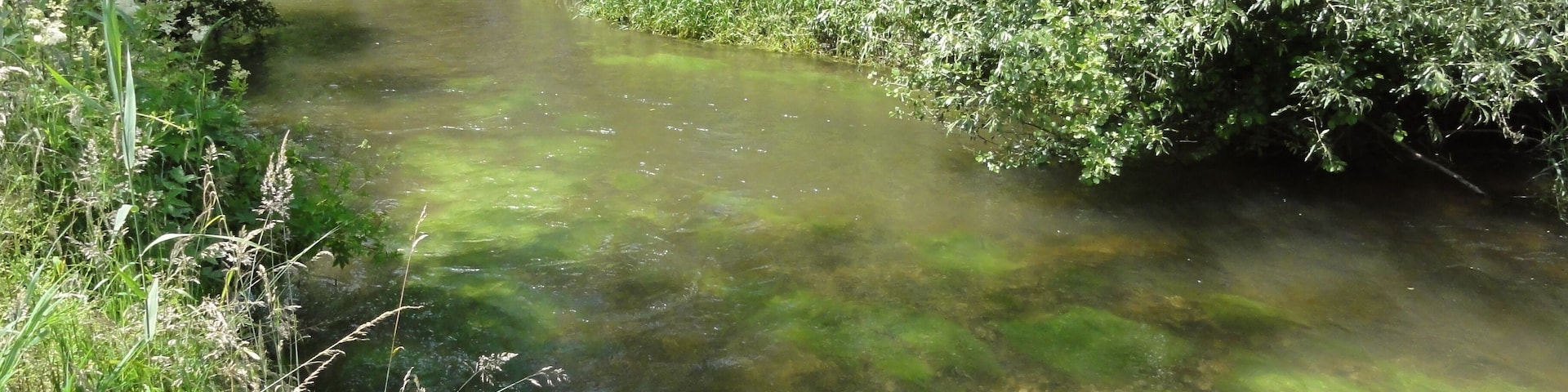 Frémonville (M-et-M) la Vezouze