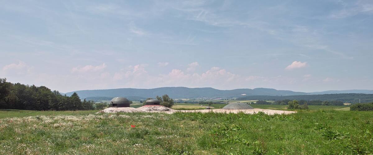A grassy field with three domed structures and a distant mountain range under a clear sky.