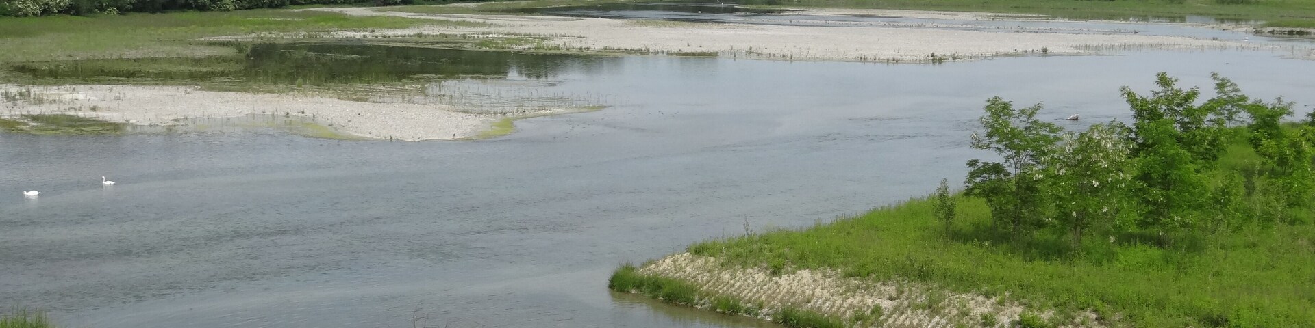 The renatured Rhine island at Village-Neuf, near Kembs (Alsace).