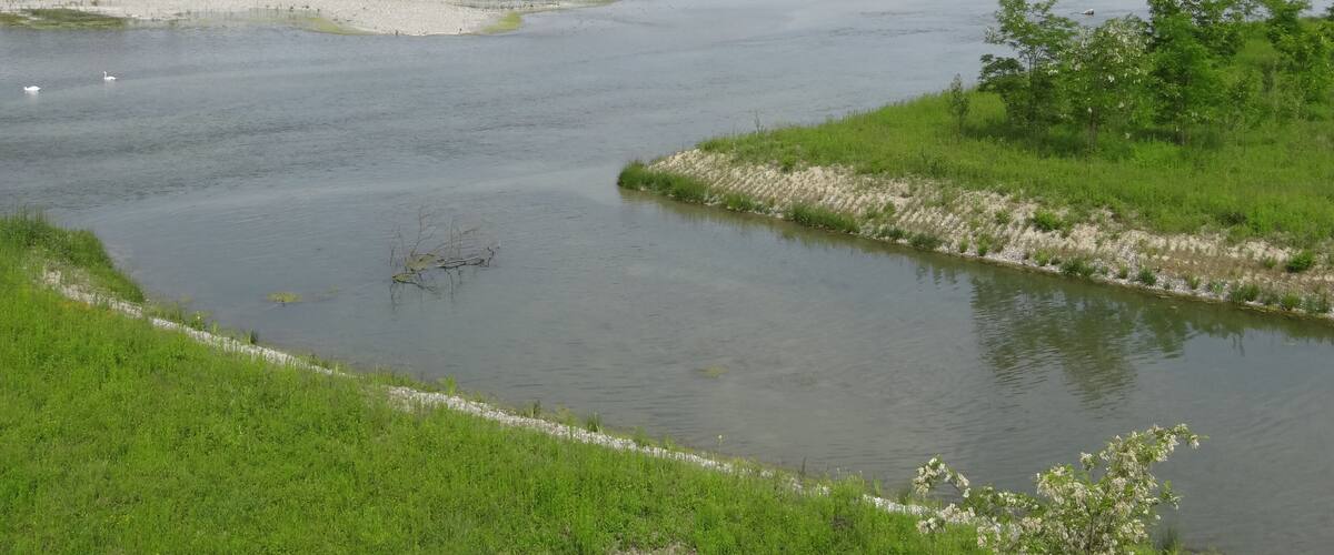 A calm river with grassy banks and trees in the background.