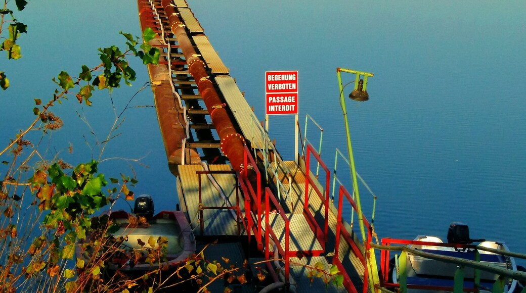 Committing Prohibited