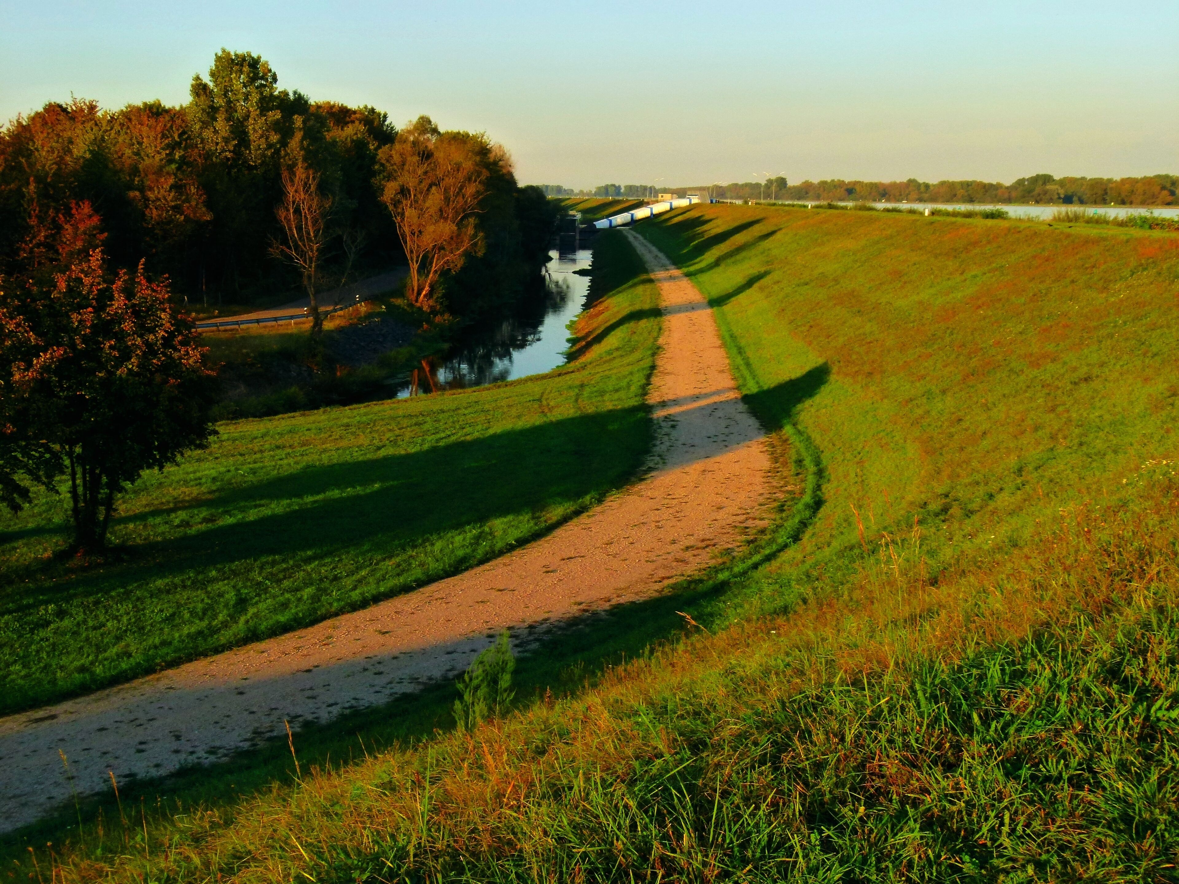 A Road At The River Rhine