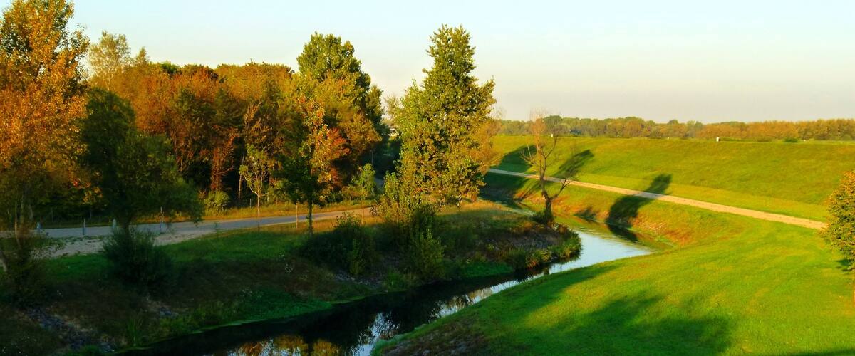 A river winding through a grassy field with trees and a road in the distance.