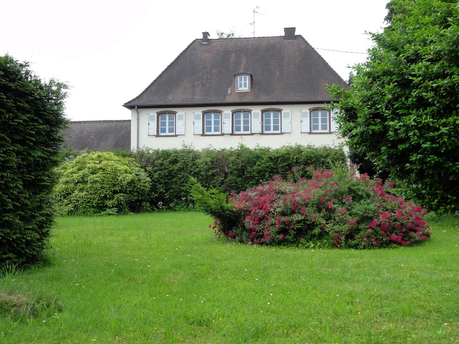 A house with a sloped roof and white shutters, surrounded by a well-maintained lawn and flowering bushes.