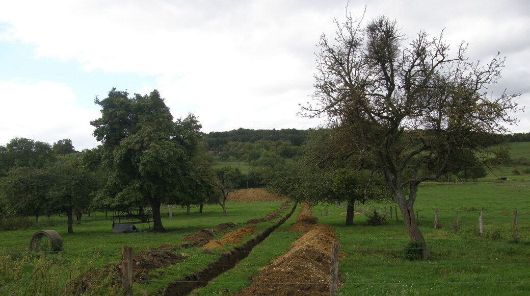 Réville (Meuse). Travaux de terrassement en vue de la construction d'une maison individuelle. Tranchée pour les rejets du dispositif d'assainissement non collectif.