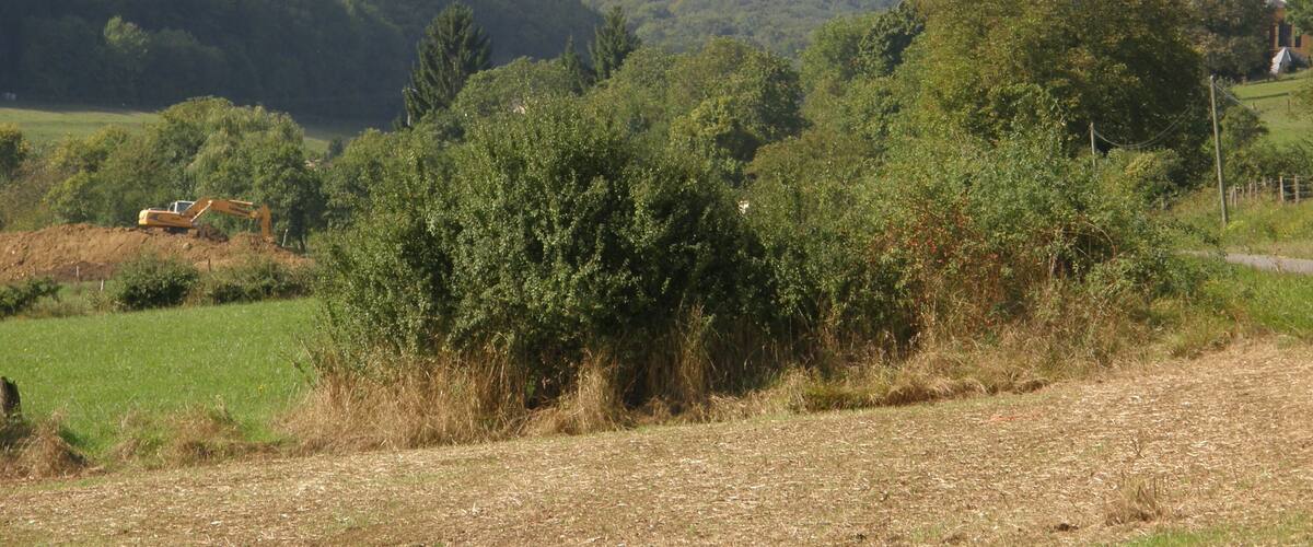 A rural landscape with a construction vehicle, dense greenery, and a church steeple.