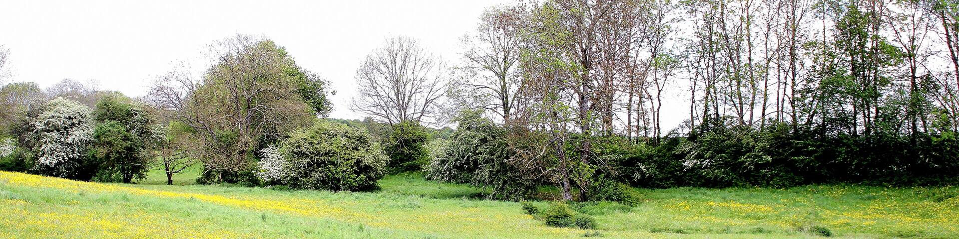 De Conroy südlech vun der Ferme du Moulin de Moyeuvre