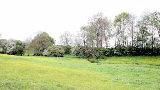 De Conroy südlech vun der Ferme du Moulin de Moyeuvre