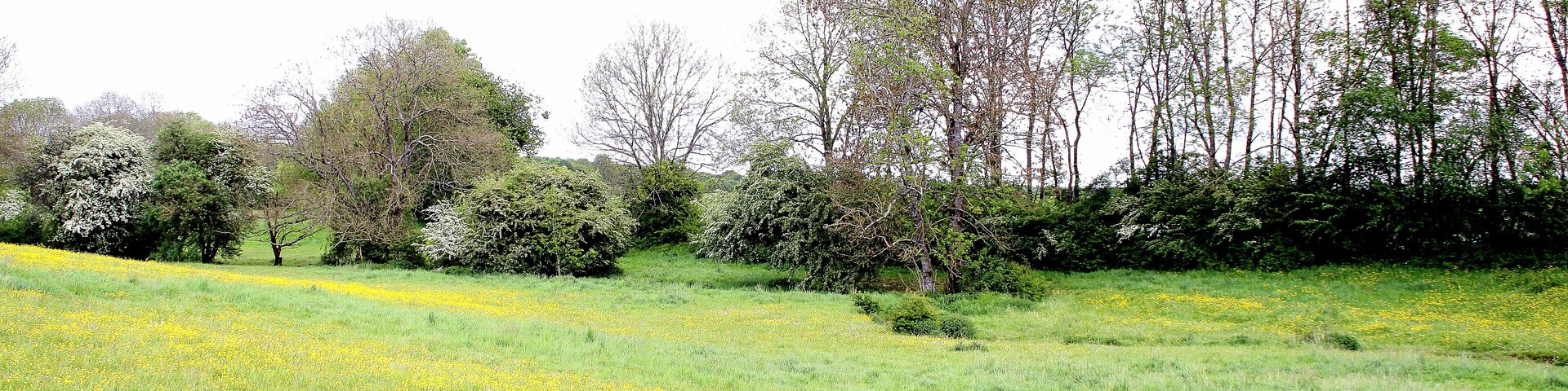 De Conroy südlech vun der Ferme du Moulin de Moyeuvre