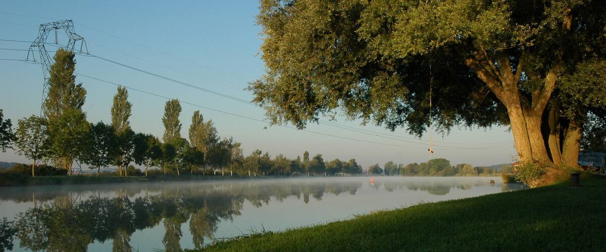 A calm lake with a large tree on the right, surrounded by grass and trees. Power lines and a transmission tower are visible in the background.