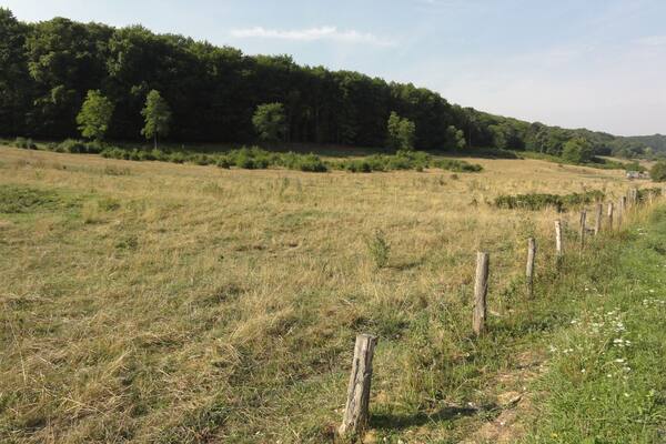 Laneuveville-derrière-Foug (Meurthe-et-M.) Bois de Pagney