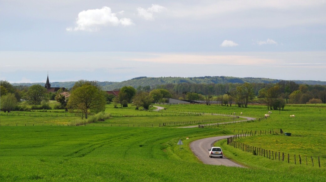 Approaching Foucaucourt-sur-Thabas over the D122 (Canton Seuil-d'Argonne, Meuse department, Lorraine region, France).