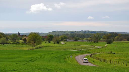 Approaching Foucaucourt-sur-Thabas over the D122 (Canton Seuil-d'Argonne, Meuse department, Lorraine region, France).