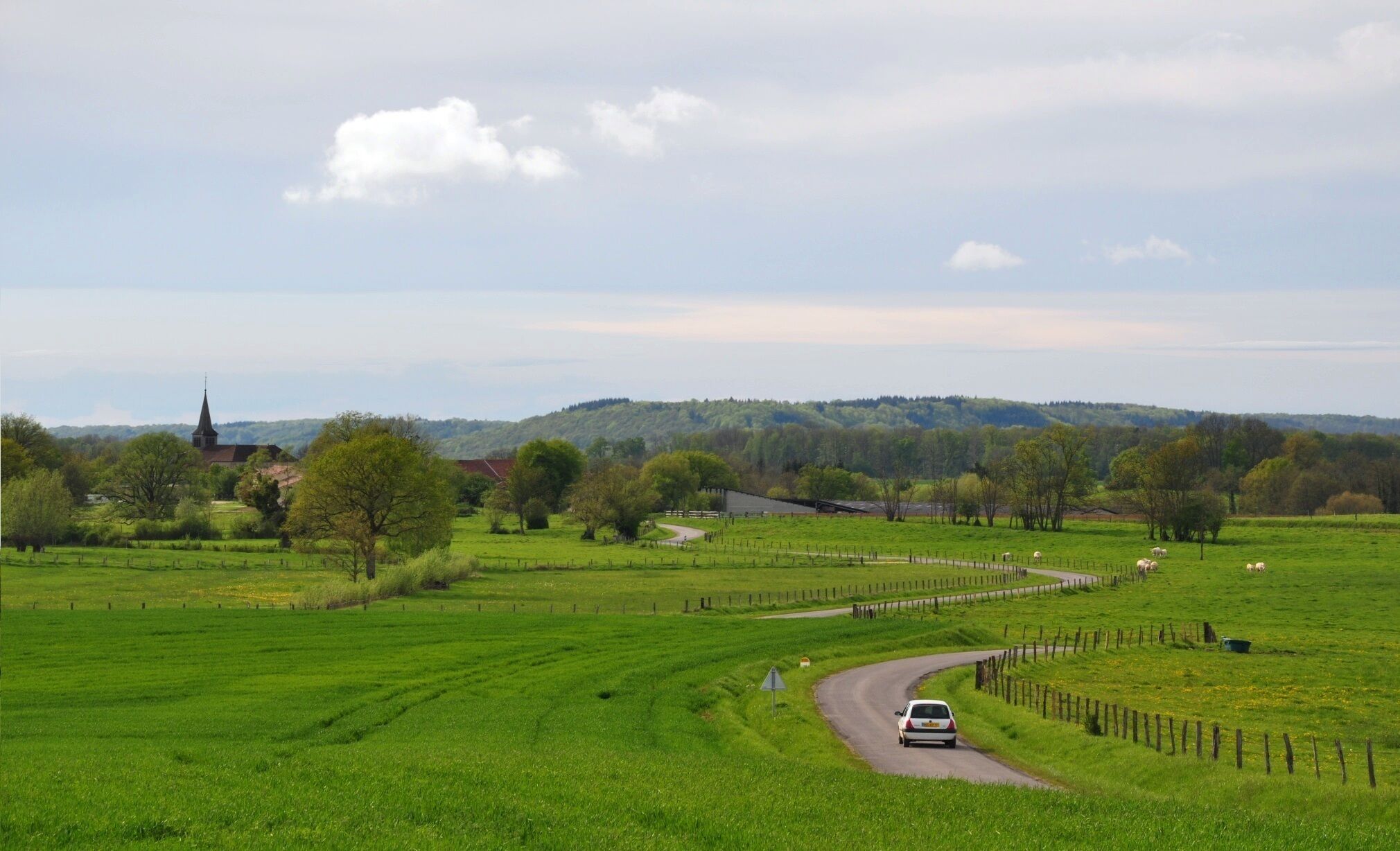 A winding road through a green field with a church and sheep in the distance.