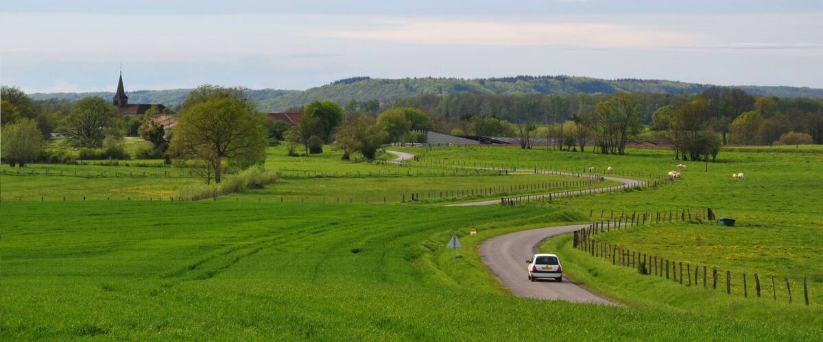 A winding road through a green field with a church and sheep in the distance.