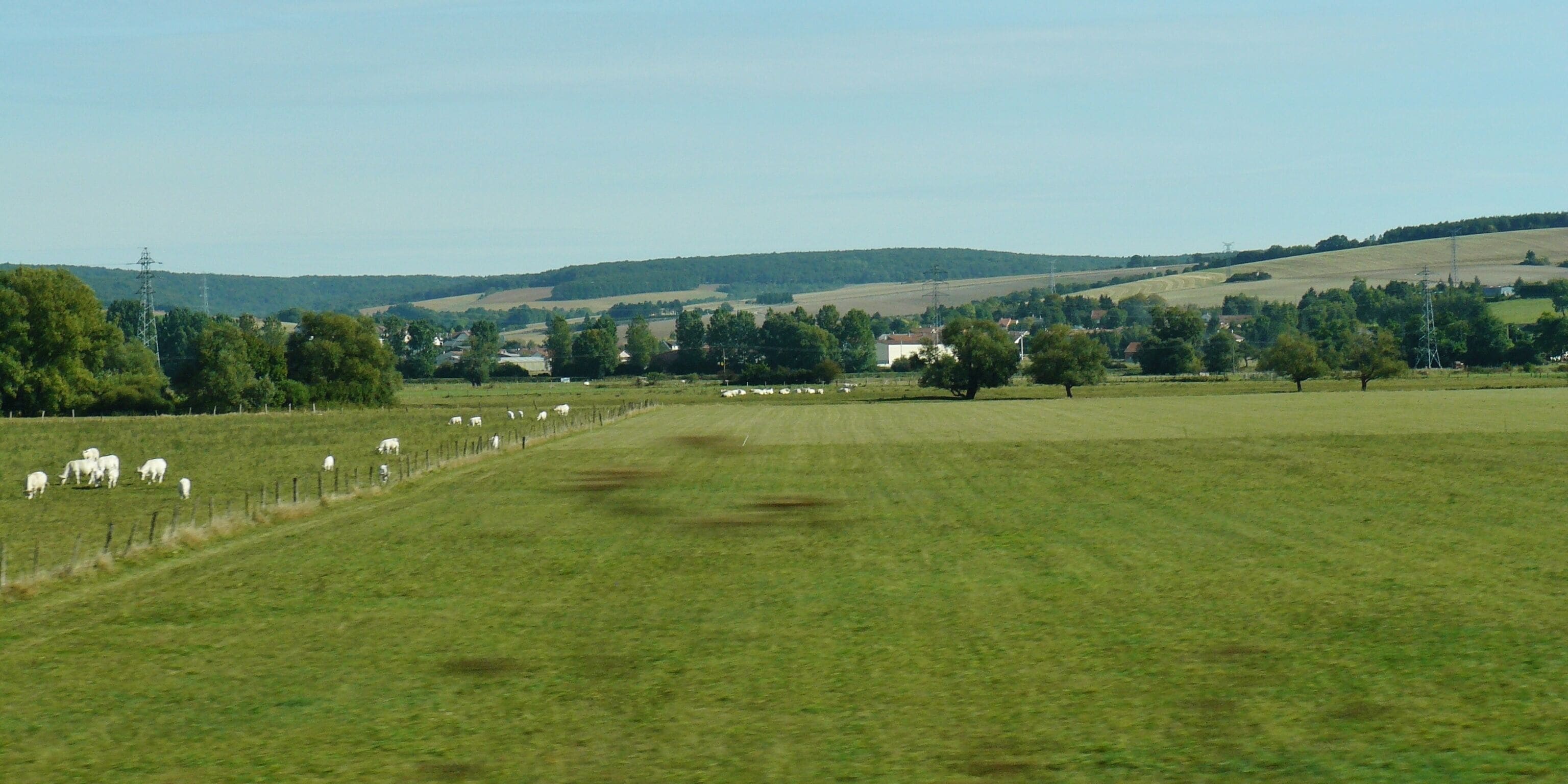 A rural landscape with a green field, a herd of sheep, and a few trees.