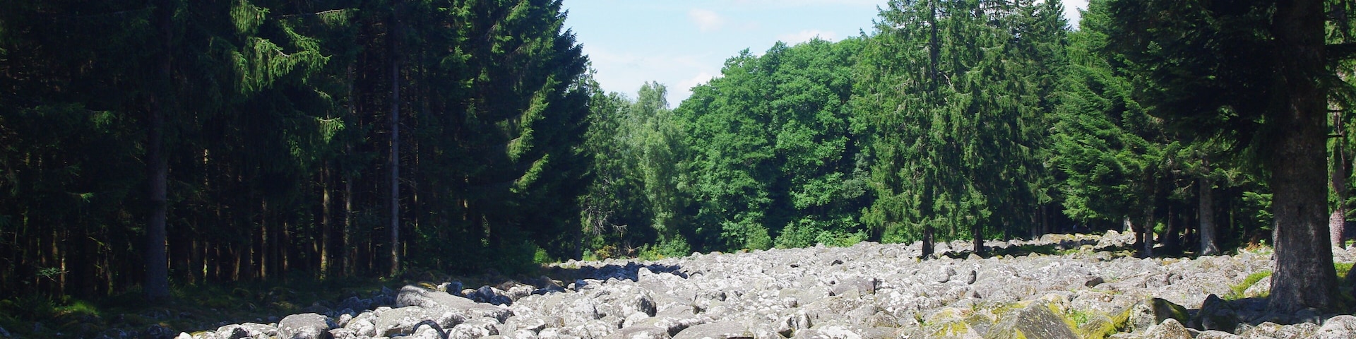 Field of rocks 2