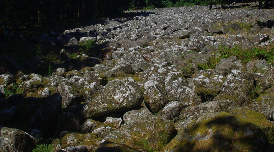 Field of rocks 4