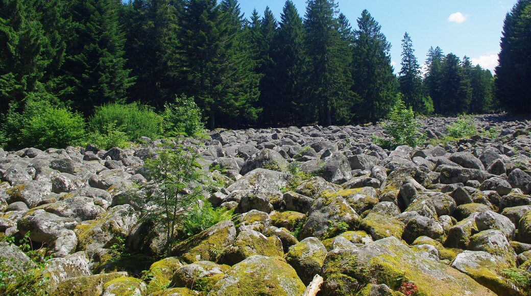 Field of rocks 1