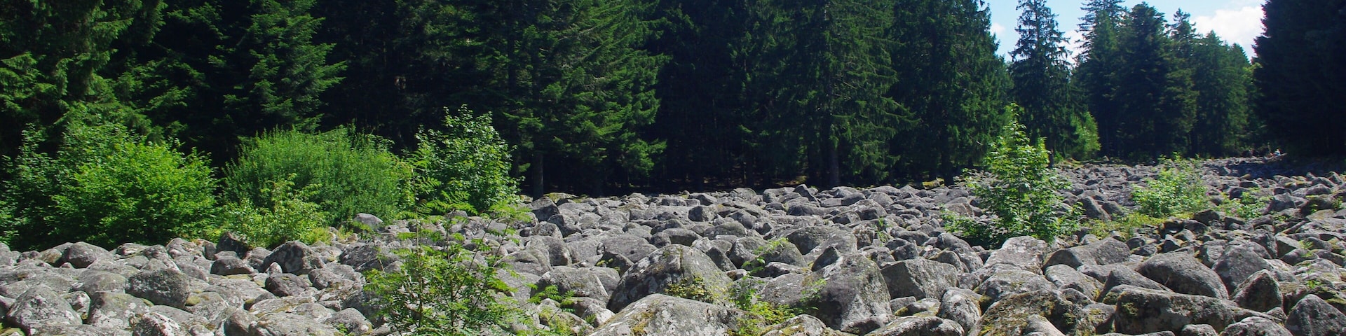 Field of rocks 1