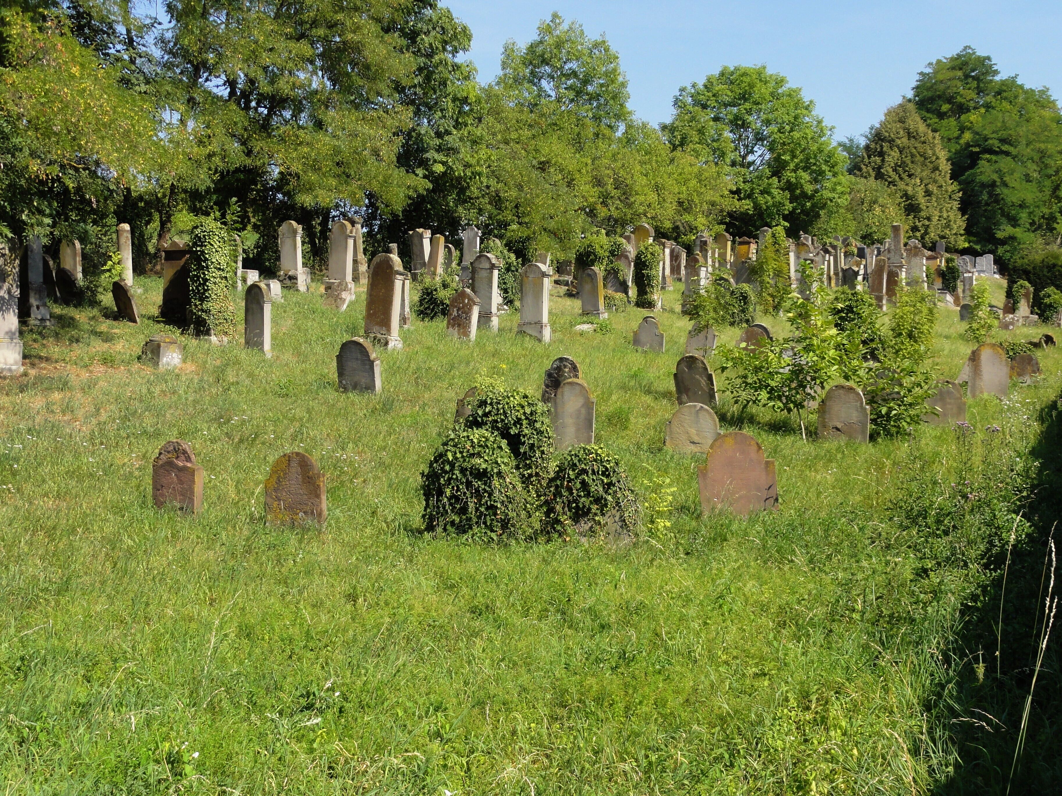 A cemetery with numerous headstones and lush greenery.