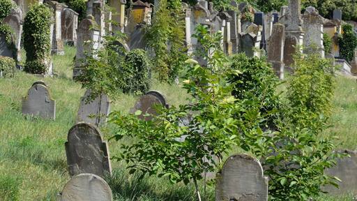 Alsace, Bas-Rhin, Cimetière juif de Quatzenheim (IA67000951).
