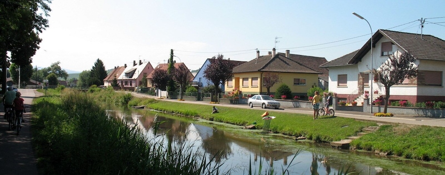 A canal with houses on one side and a road with pedestrians and cyclists on the other.