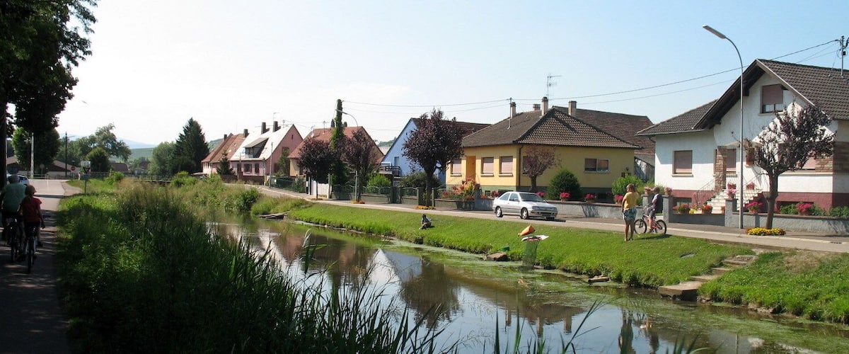 A canal with houses on one side and a road with pedestrians and cyclists on the other.