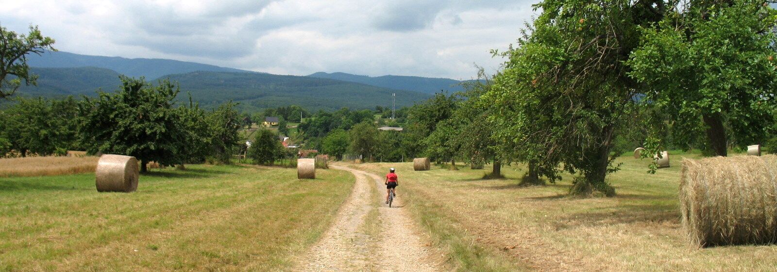 A rural path with hay bales and trees, leading towards distant mountains.