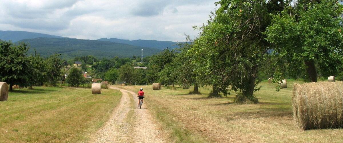A rural path with hay bales and trees, leading towards distant mountains.