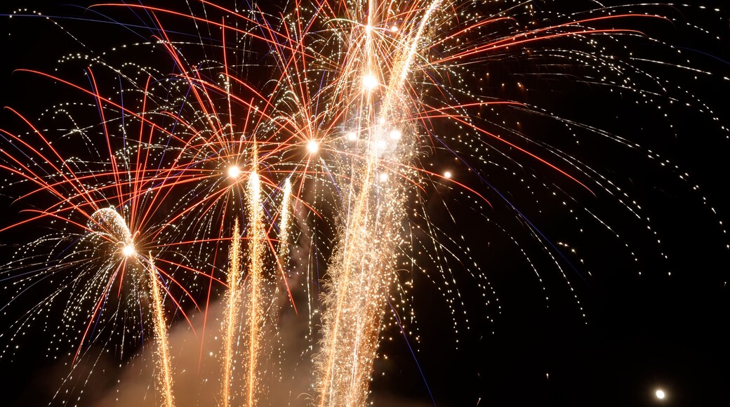 Personality rights Personality rights warningAlthough this work is freely licensed or in the public domain, the person(s) shown may have rights that legally restrict certain re-uses unless those depicted consent to such uses. In these cases, a model release or other evidence of consent could protect you from infringement claims. Though not obliged to do so, the uploader may be able to help you to obtain such evidence. See our general disclaimer for more information.