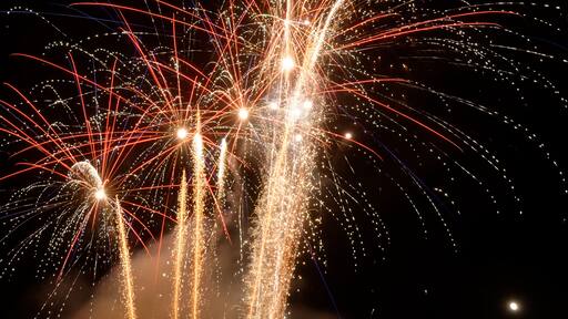 Personality rights Personality rights warningAlthough this work is freely licensed or in the public domain, the person(s) shown may have rights that legally restrict certain re-uses unless those depicted consent to such uses. In these cases, a model release or other evidence of consent could protect you from infringement claims. Though not obliged to do so, the uploader may be able to help you to obtain such evidence. See our general disclaimer for more information.