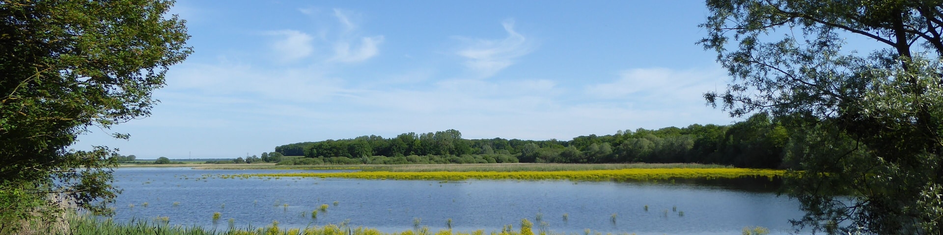 Vue sur l'étang d'Amel depuis l'observatoire nord dans la réserve naturelle régionale de l'étang d'Amel.