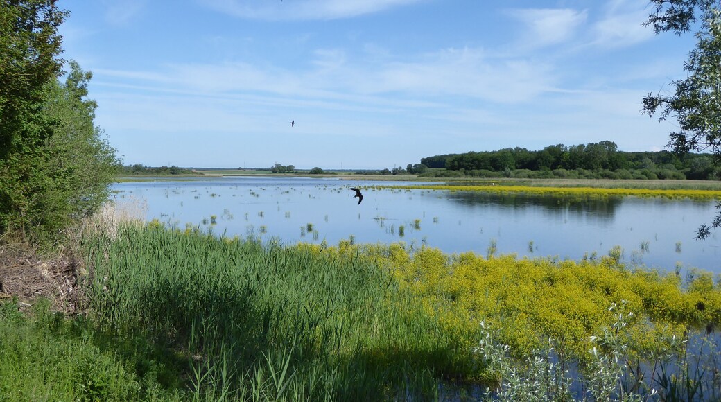 Vue sur l'รฉtang d'Amel depuis l'observatoire nord dans la rรฉserve naturelle rรฉgionale de l'รฉtang d'Amel.