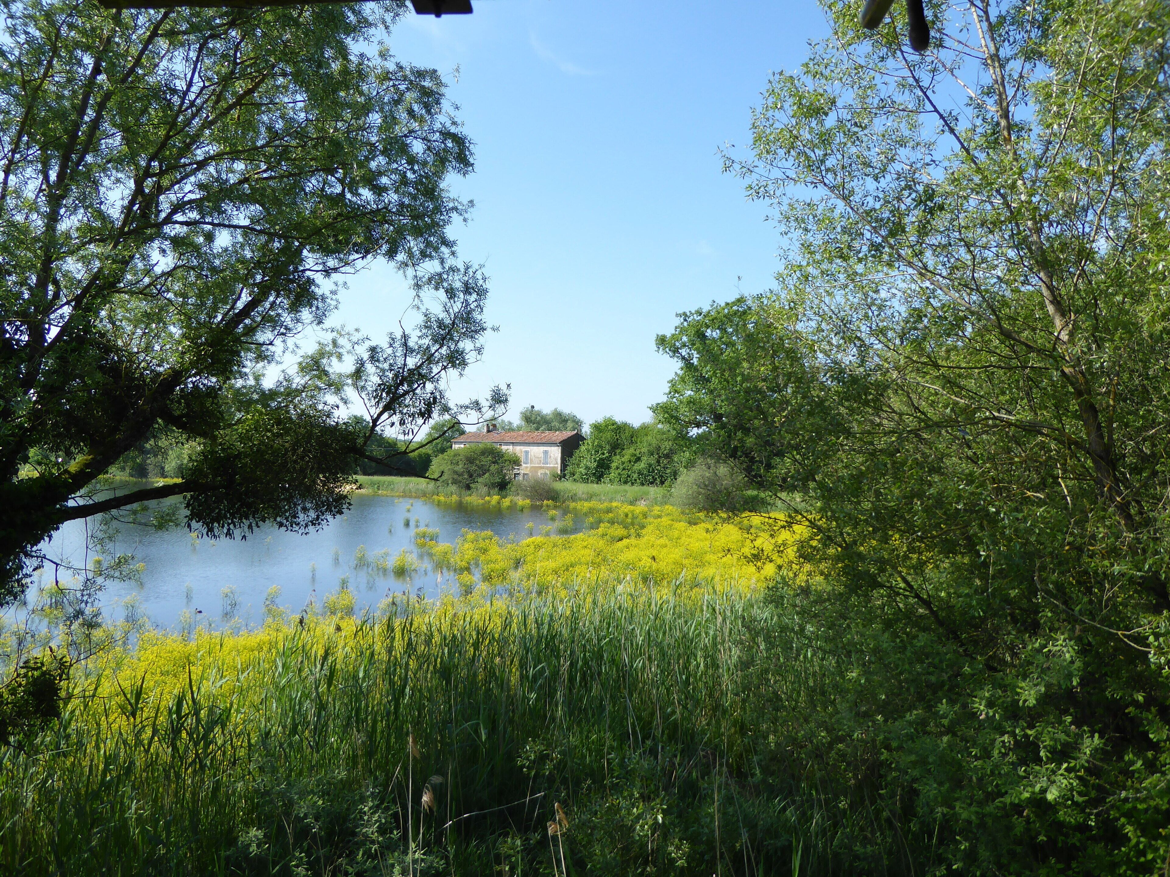 Vue de l'étang d'Amel et de l'ancienne ferme en direction de la digue dans la réserve naturelle régionale de l'étang d'Amel.